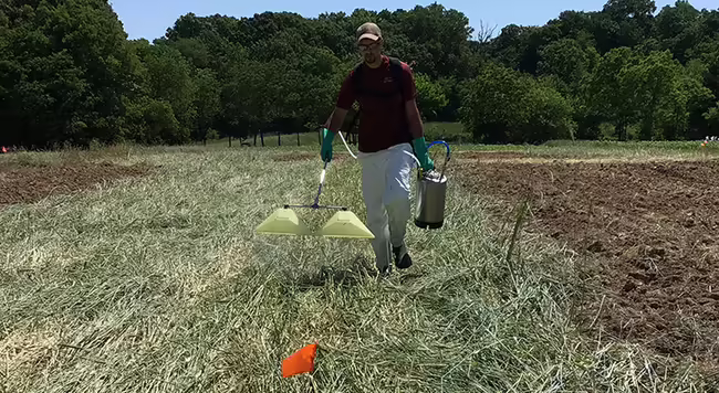 person walking through a field holding a canister and a spray wand making a herbicide application