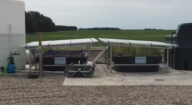 Phytobac system