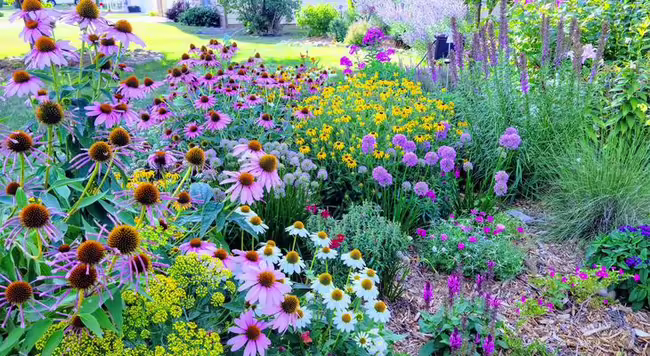 beautiful flower garden