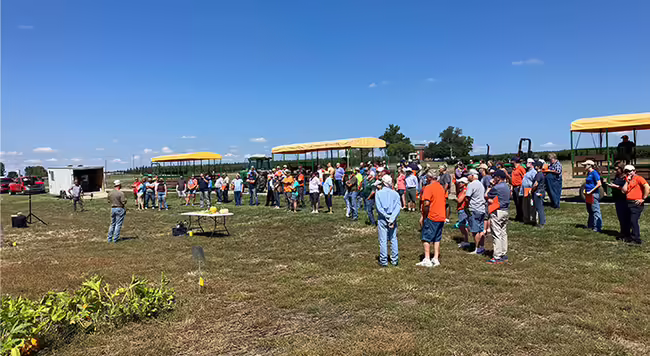 people standing in a field of pumpkins 