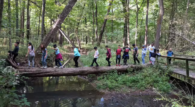 Kids walking on log over shallow creek in local park
