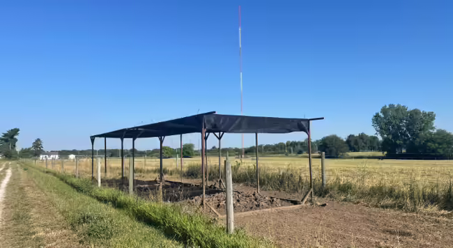 Portable shade structure in a pasture