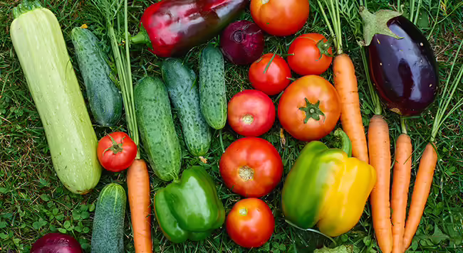A group of vegetables on grass