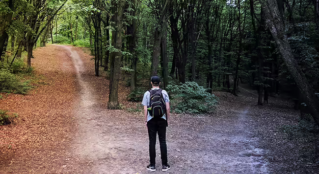 Person in forest looking at two different paths