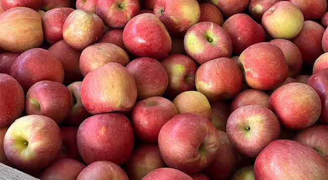 A pile of red apples