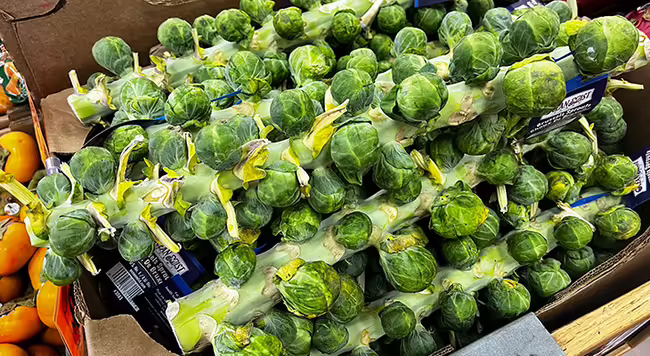 stalks of brussels sprouts laying out on display at a market