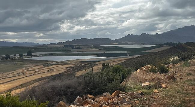 arid landscape with ponds, brush, and rows of fruit trees