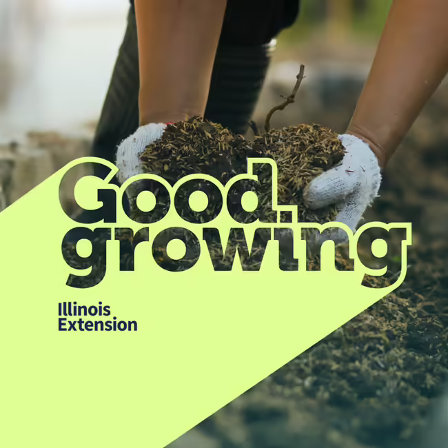 Person picking up soil
