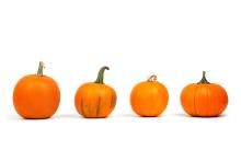 four orange pumpkins in row