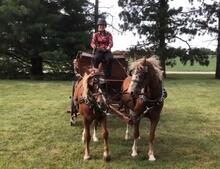 Champion Single Driving – Kathleen Hopkins