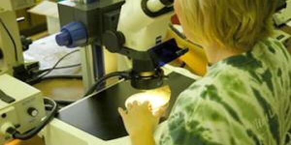 Women looking into microscope