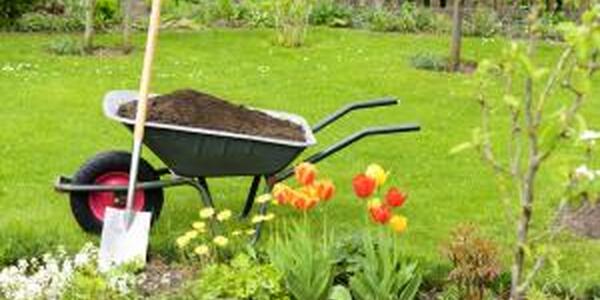 Wheelbarrow and shovel in garden