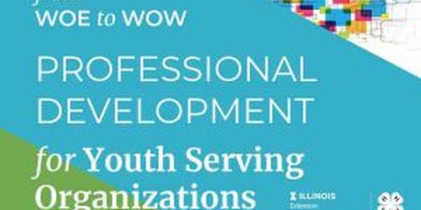 info graphic for youth serving organization professional development