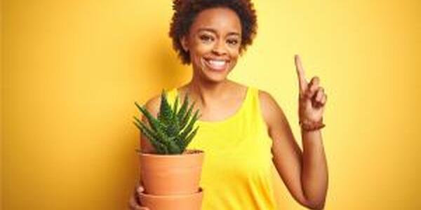Young african american woman against yellow background holding aloe plant, holding finger like asking a question