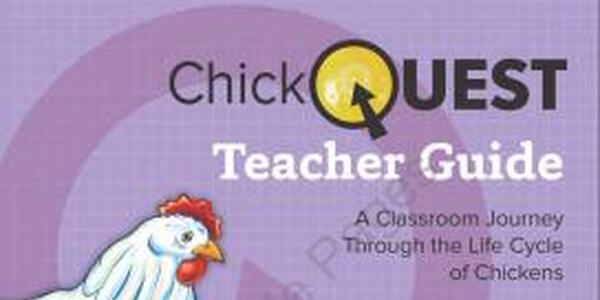 ChickQuest cover