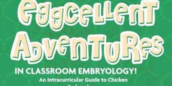 Eggcellent adventures book cover clip