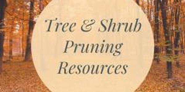 Tree and Shrub Pruning Resources Icon