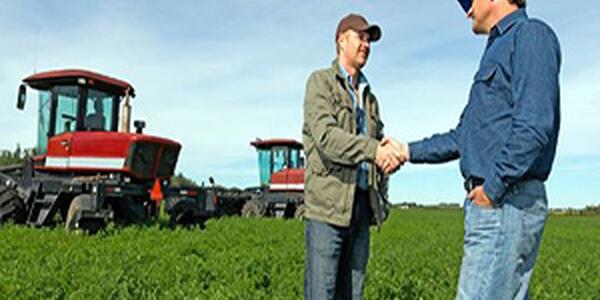 Two farmers shaking hands in a green field