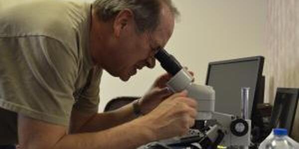 Man looking through microscope at diseased plant sample
