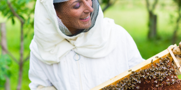 woman in beekeeper uniform with bee hive