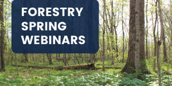 Forest background with forestry spring webinar title