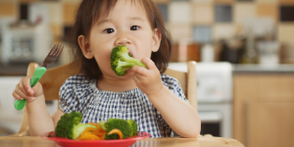 Asian toddler nibbling on broccoli 
