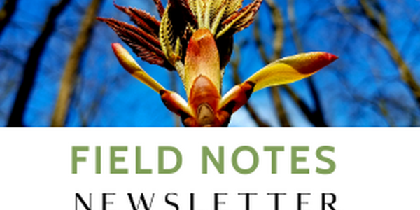 Field Notes Newsletter