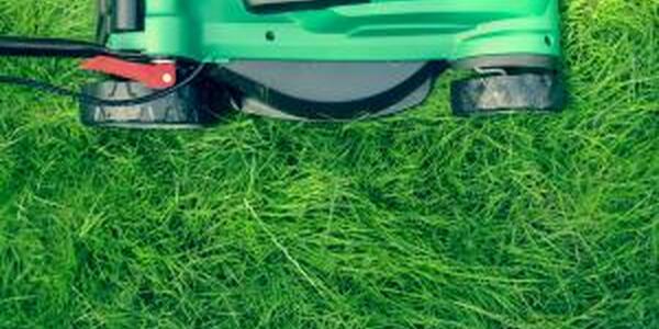 overhead view of green push lawnmower mowing long grass