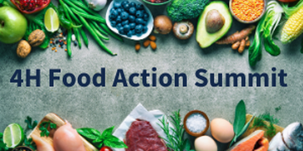 Veggies frame the slide titled  4-H Food Action Summit