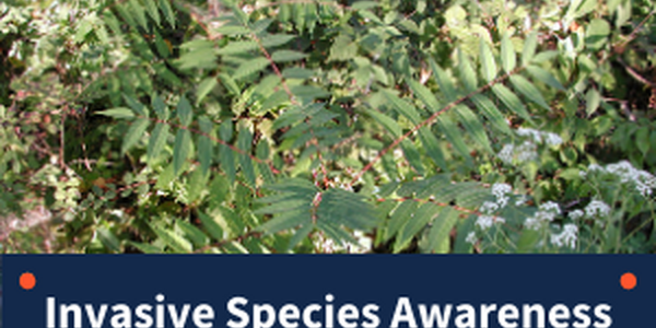 Slider with "Invasive Species Awareness"