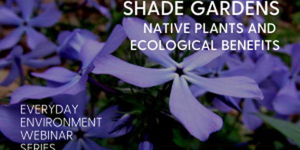 Purple plant with text stating date (May 13) of webinar