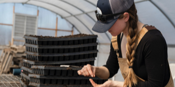 Women testing soil in a green house