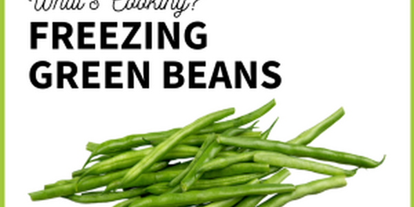 freeze green beans