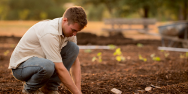 Farmer kneeling with hands in the dirt 