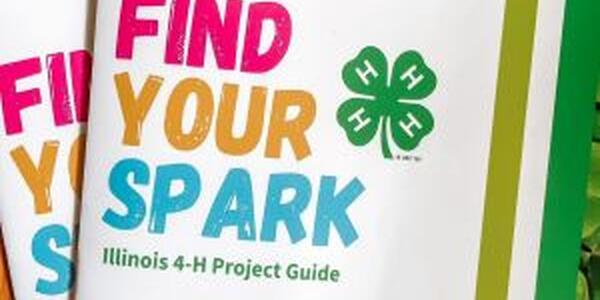 Find Your Spark project book