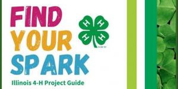 cover of Find Your Spark Project manual