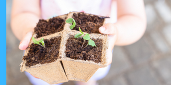 a child holding a four pack cardboard container with plants starting to grow