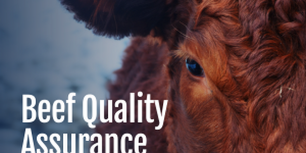 Beef Quality Assurance Training