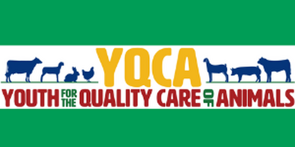 Youth for the quality care of animals logo