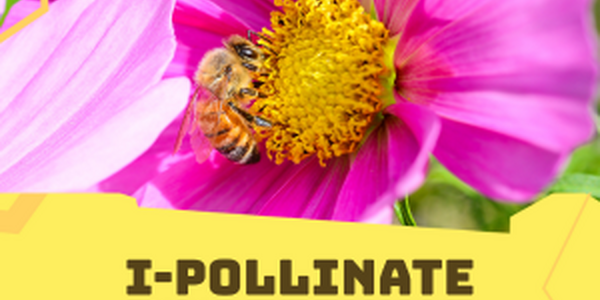 I-Pollinate