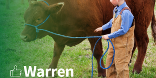 young boy in bibs with a rope halter over a cow. text warren