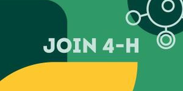 Learn more about 4-H