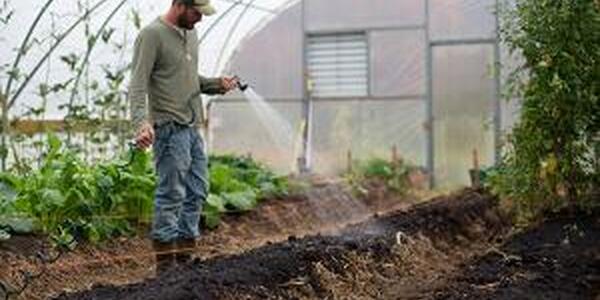 man watering dirt in greenhouse