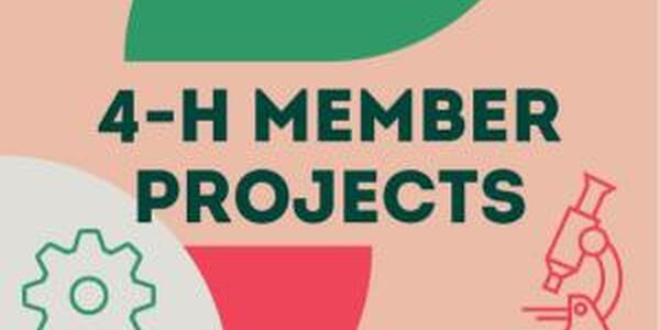4-H Member Projects Logo