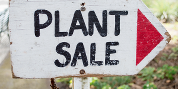 Sign saying Plant Sale