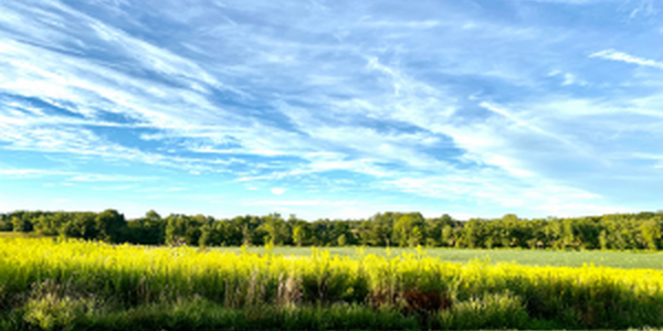 farm field in blue sky