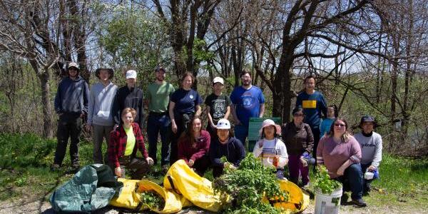 group of volunteers with bags of garlic mustard in front of them