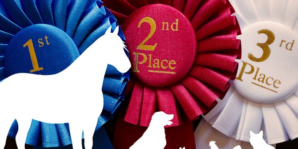 White outlines of a horse, dog, rabbit, chicken and cat in front of pictures of Awards Ribbons with 1st, 2nd and 3rd place written on them