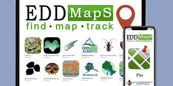 EDD Maps graphic