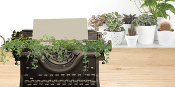 Potted plants behind plants growing out of a typewriter.
